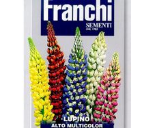 (L) Fr. Lupine seeds Alto mix Large 2.5g pack (807544)