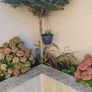 5ft trees Image 3