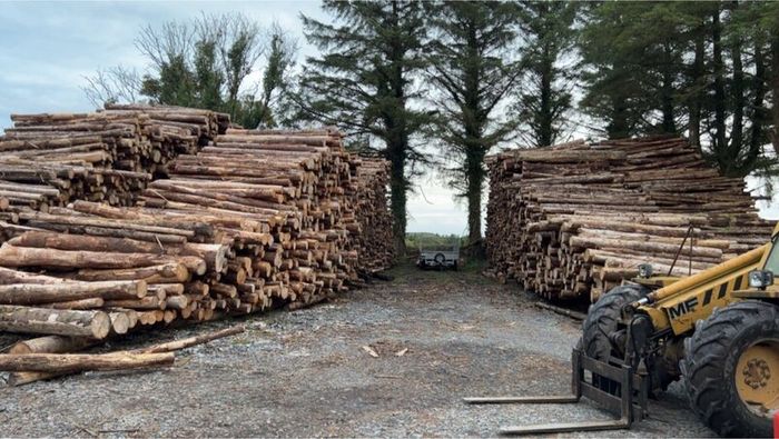 Kiln dried firewood