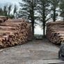 Kiln dried firewood Image 3