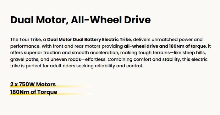 Amazing Meetone Trike 40 kmph | 2 x750 watts dual motors | 200km range, dual batteries | Nearly 1/2 price