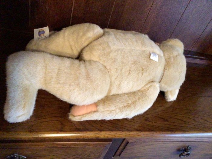 North American bear company family of bears Collectable