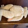 North American bear company family of bears Collectable Image 4