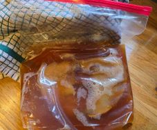 kombucha scoby