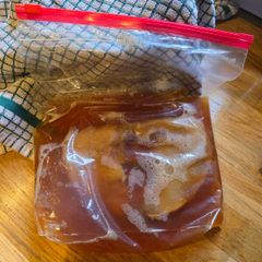 kombucha scoby