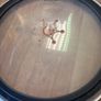 Evans Emad Bass drum head Image 3