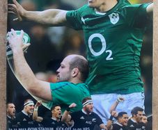 2013 Ireland v New Zealand - November International Programme
