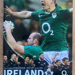2013 Ireland v New Zealand - November International Programme