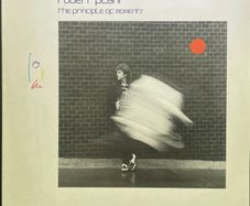 Robert Plant - The Principle Of Moments Vinyl LP Record