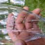 guinness glasses /half pint Image 4