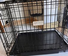 dog crate