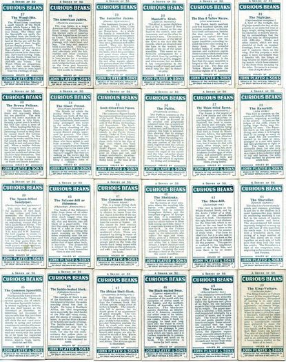 John Player 1929 Cigarette Cards - Curious Beaks - FREE POSTAGE
