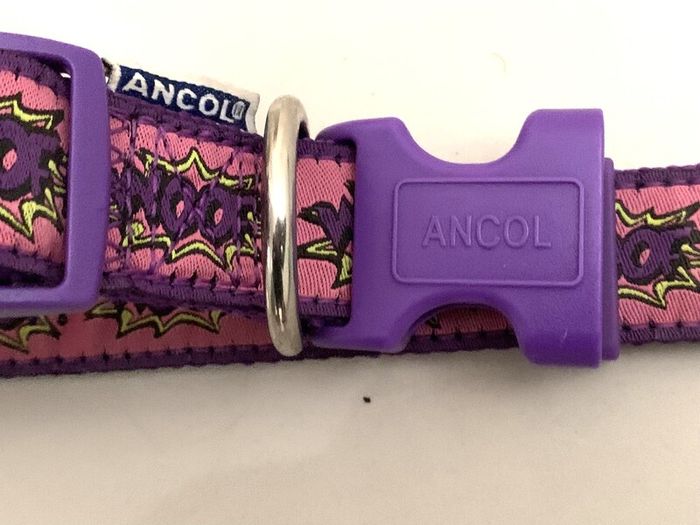 Large Dog Collar