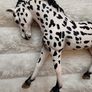 Schleich 13769 Knapstrupper Mare 2014 Used Please see photos Image 4
