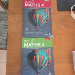 Leaving Cert Active Maths 4