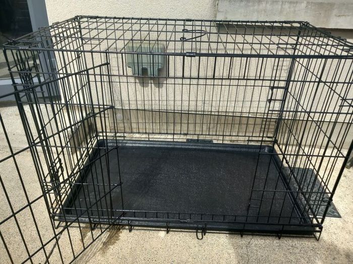 large dog travel crate
