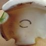 Vintage Vase / Staffordshire England Image 7