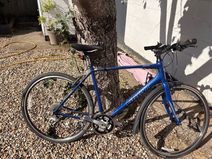Giant Escape Road Bike
