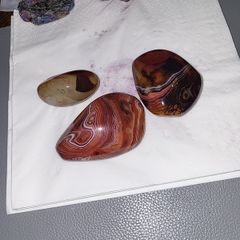 Agate palm stones Namibia