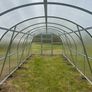 Greenhouse / polytunnel with strong Polycarbonate sheeting Image 9
