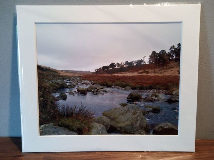 Mounted Original Photography - Coronation Plantation, Wicklow