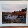 Mounted Original Photography - Coronation Plantation, Wicklow Image 3