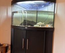 Aquarium
