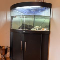 Aquarium
