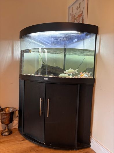 Aquarium