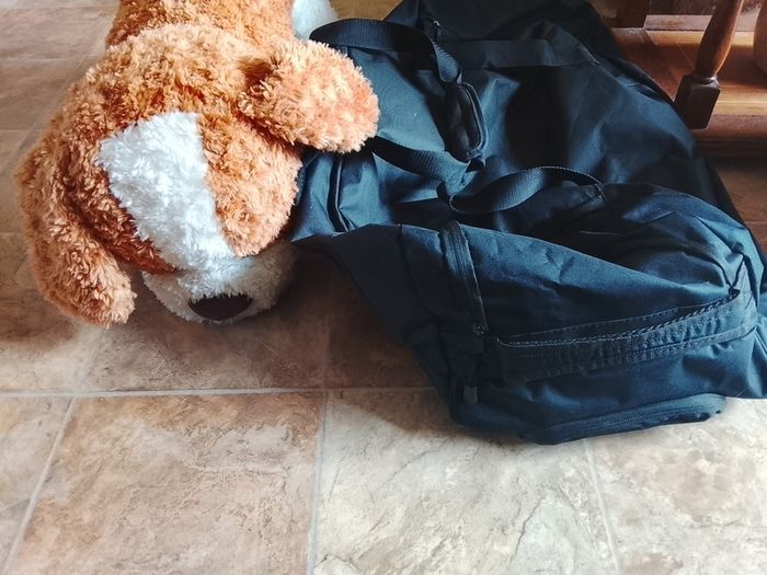 Dog teddy and luggage bag