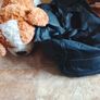 Dog teddy and luggage bag Image 2