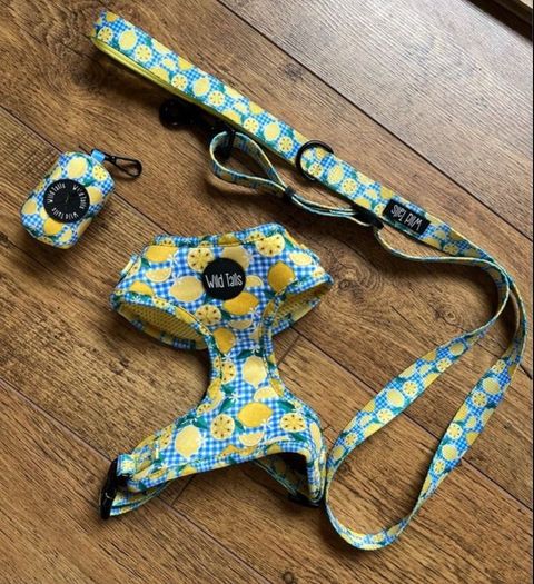 Wildtails Dog Accessories