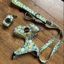 Wildtails Dog Accessories Image 2