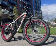 Custom fat e-bike 3000w 50ah 60V
