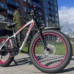 Custom fat e-bike 3000w 50ah 60V