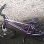 Girls Bike