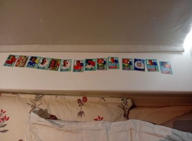 FIFA world cup stickers