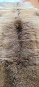 Genuine Reindeer Hide rug