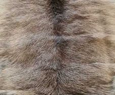 Genuine Reindeer Hide rug