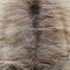 Genuine Reindeer Hide rug