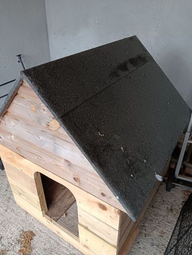 dog kennel
