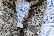 Paul Costello faux fur scarf