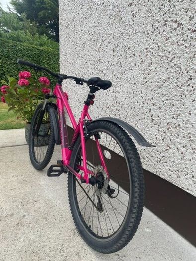 Ladies' Mountain Bike