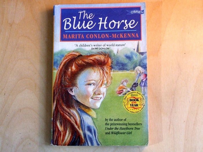 Novels by Irish children's authors