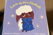 Irish language children's book
