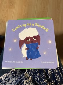 Irish language children's book