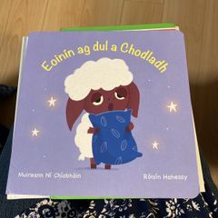 Irish language children's book