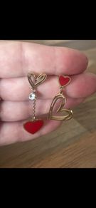 Stainless steel earrings