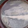 Rare Mid- Century American Redwood Californian Paperweight Image 6
