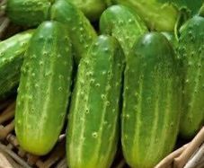 (C) Gherkin Polan H seeds 1g (123377)